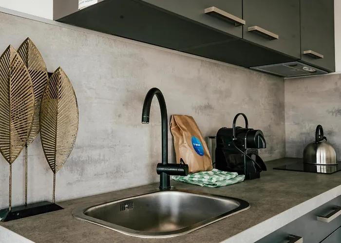 Havenlodge 船上ホテル 4*